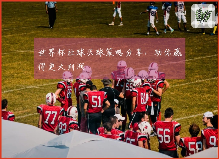 世界杯让球买球策略分享，助你赢得更大利润