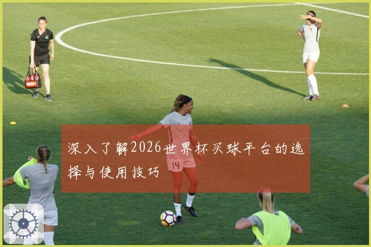 深入了解2026世界杯买球平台的选择与使用技巧