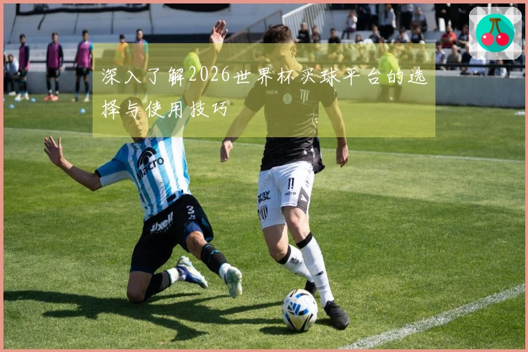 深入了解2026世界杯买球平台的选择与使用技巧