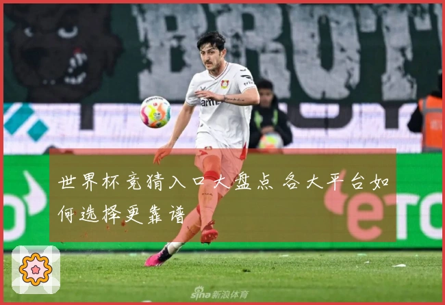 世界杯竞猜入口大盘点 各大平台如何选择更靠谱