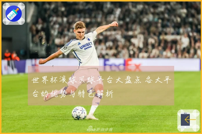 世界杯滚球买球平台大盘点 各大平台的优势与特色解析