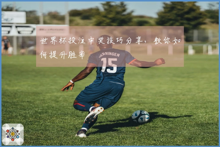世界杯投注中奖技巧分享，教你如何提升胜率